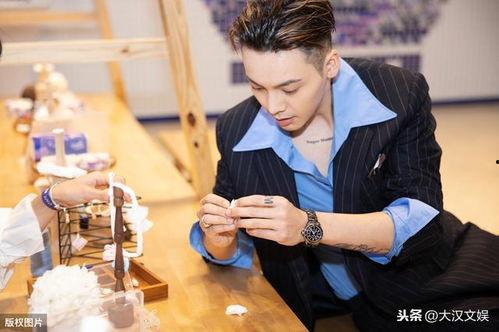 娱乐圈疑云 