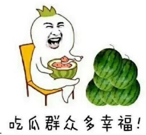 你叫什么鸭 