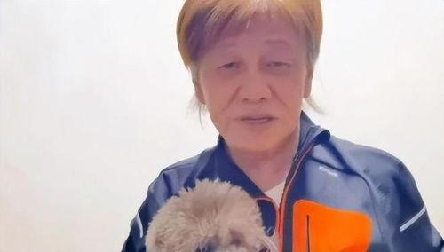 一口气通关我有无限648系统 
